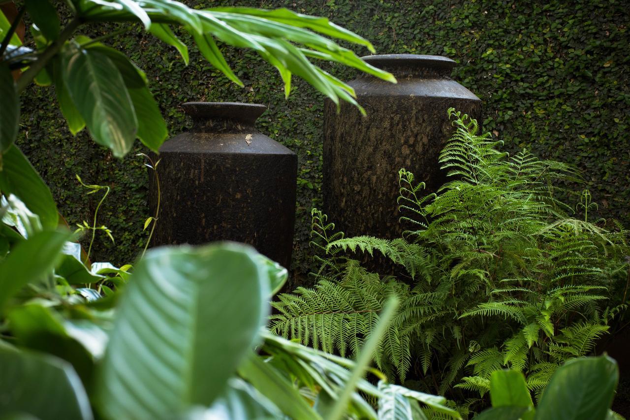 Zawadi House Lodge Аруша Екстериор снимка