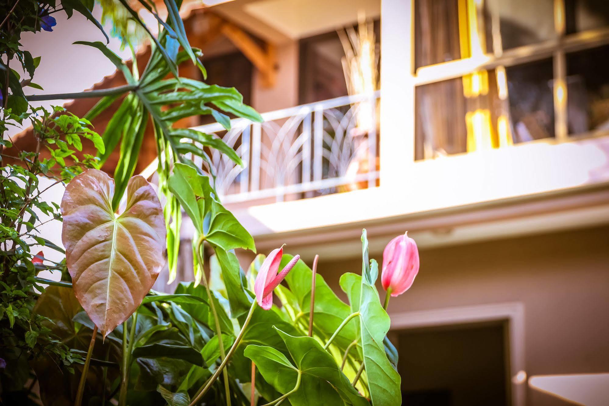 Zawadi House Lodge Аруша Екстериор снимка