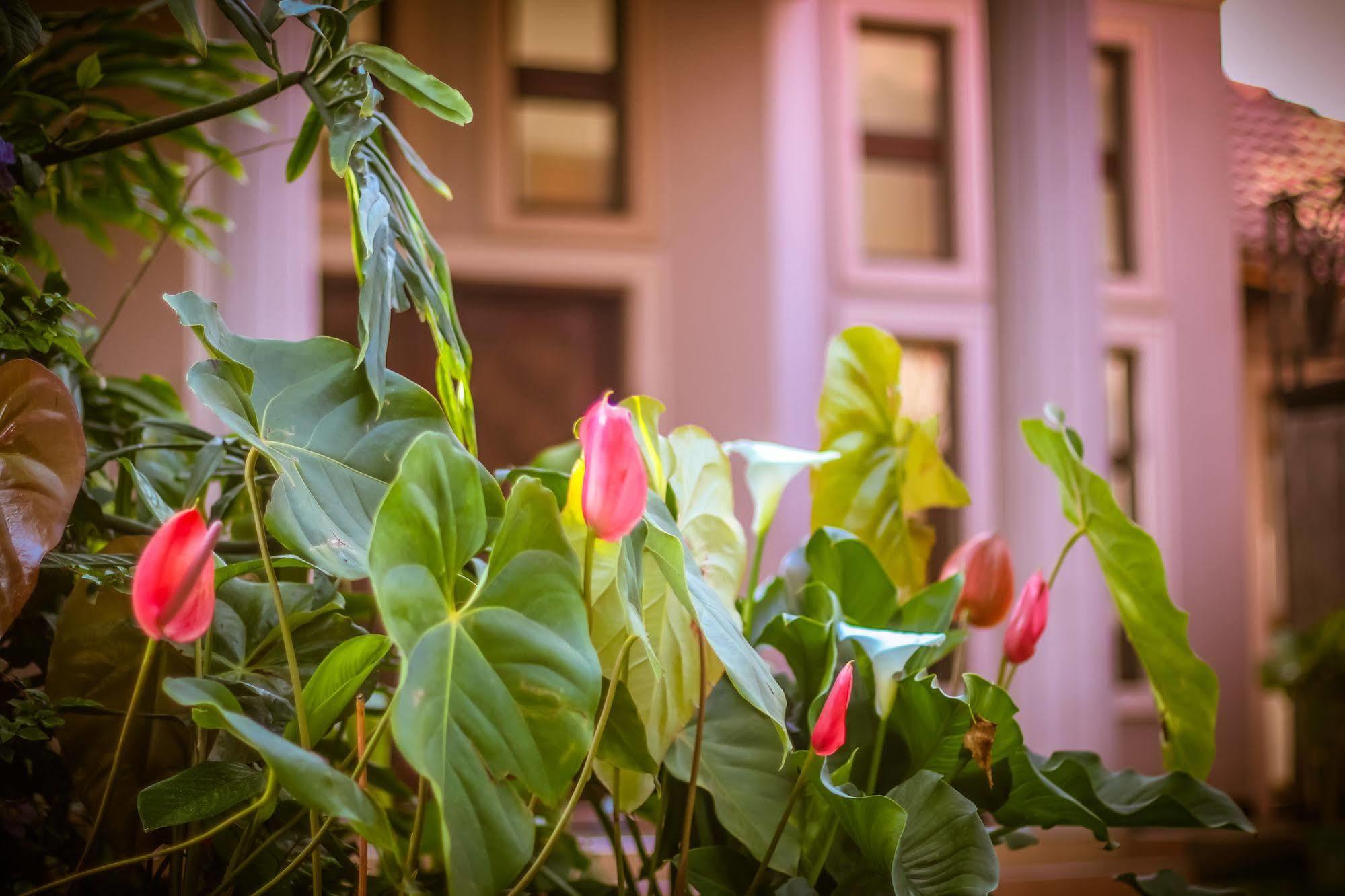 Zawadi House Lodge Аруша Екстериор снимка